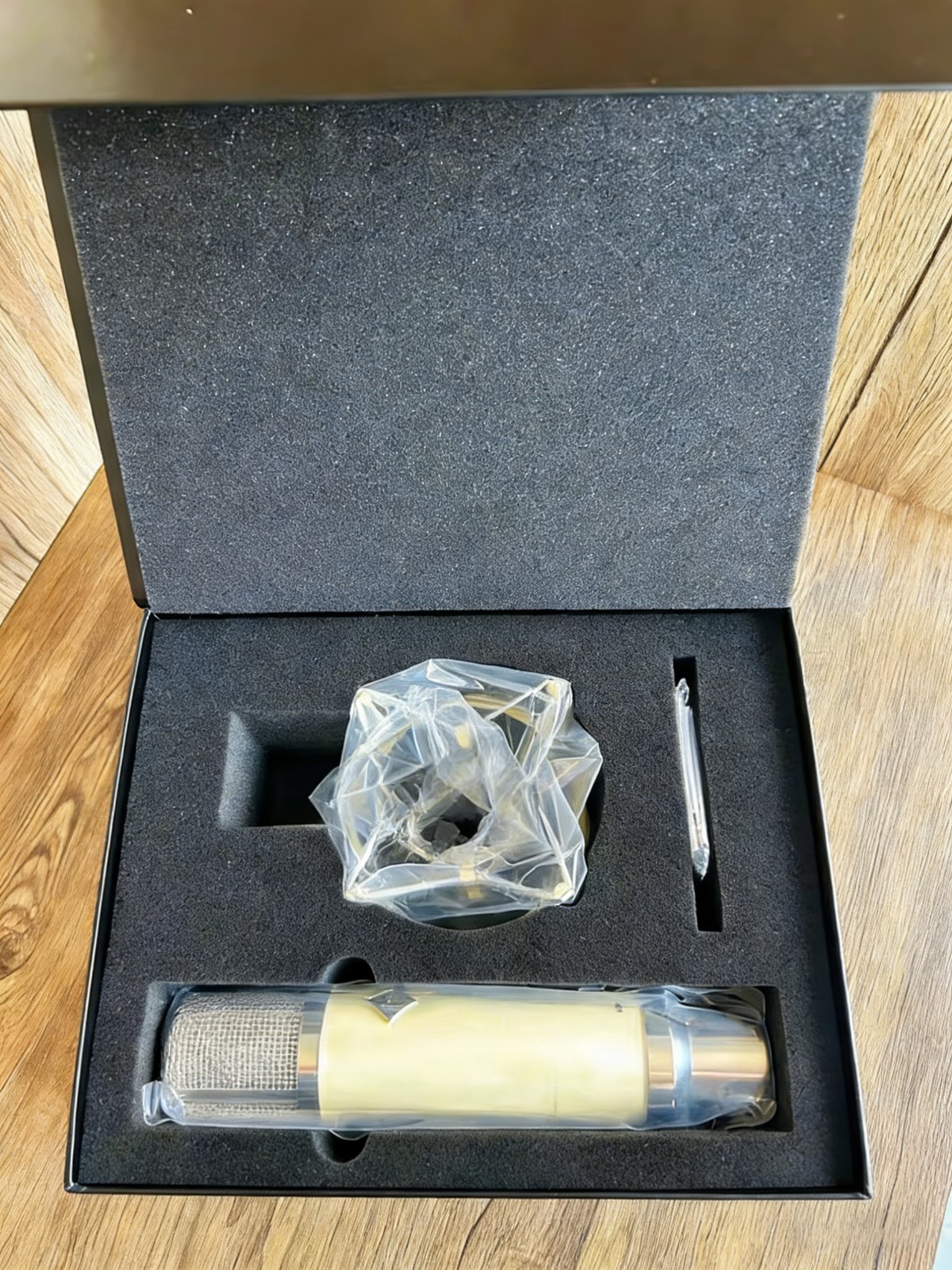 Professional large-diaphragm EXD-M251E condenser microphone recording singing