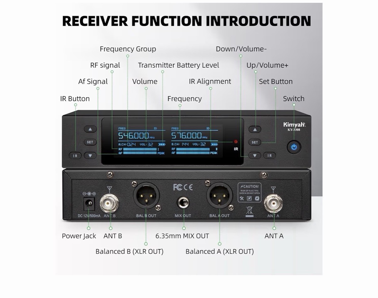 Wireless Microphones System with 2 X 100 Channels Cordless Handheld Microphon…