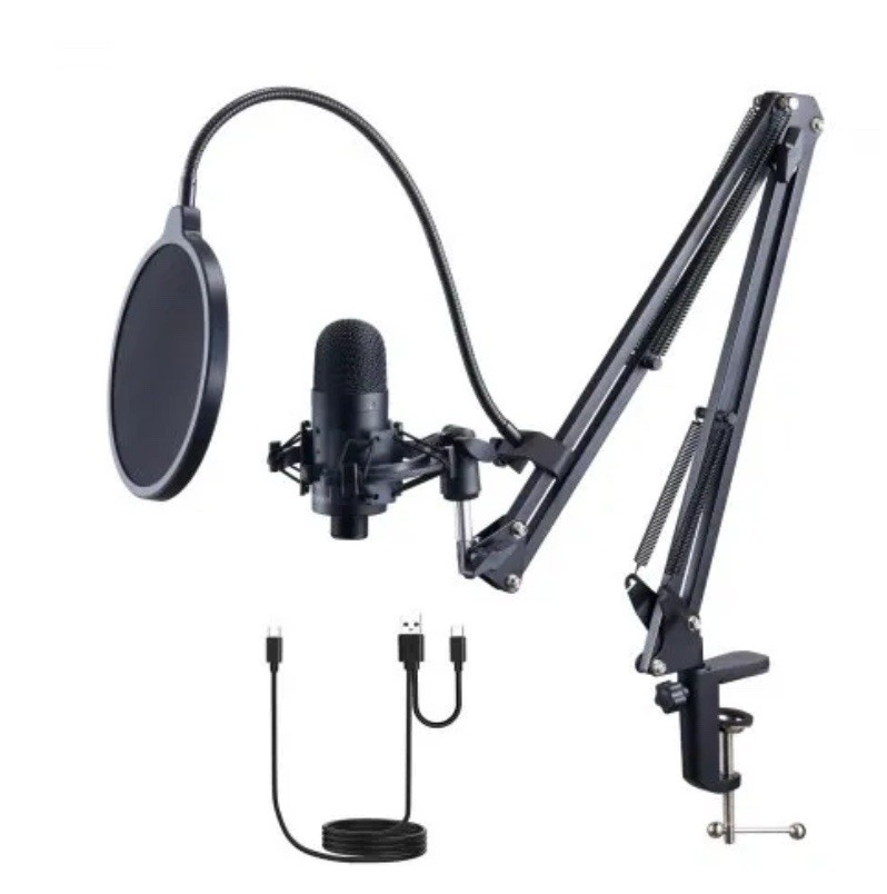 Microphone Check the Hidden History of Hip Hop