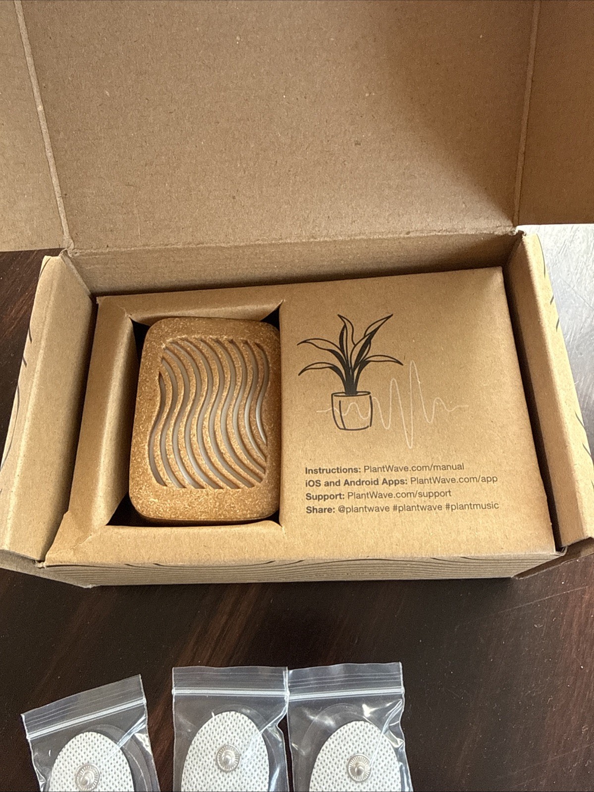 Plant Wave Music Device