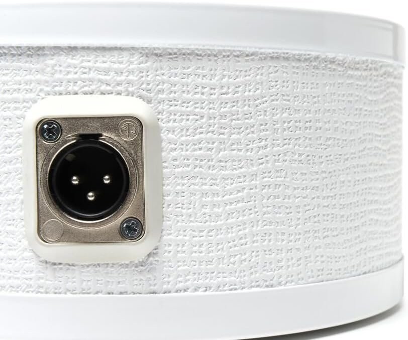 LoFReQ Sub Microphone