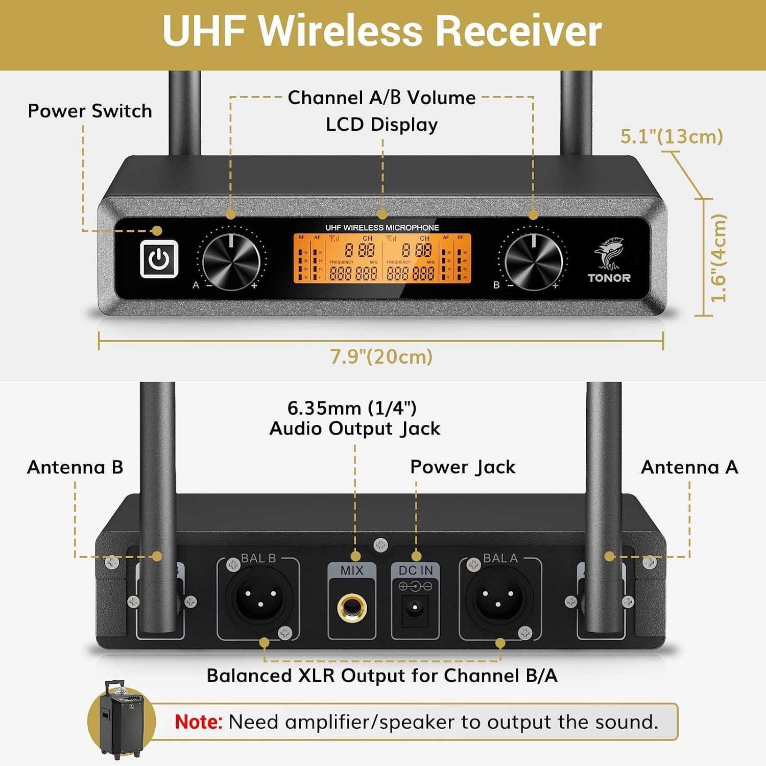 Professional Wireless Microphones System