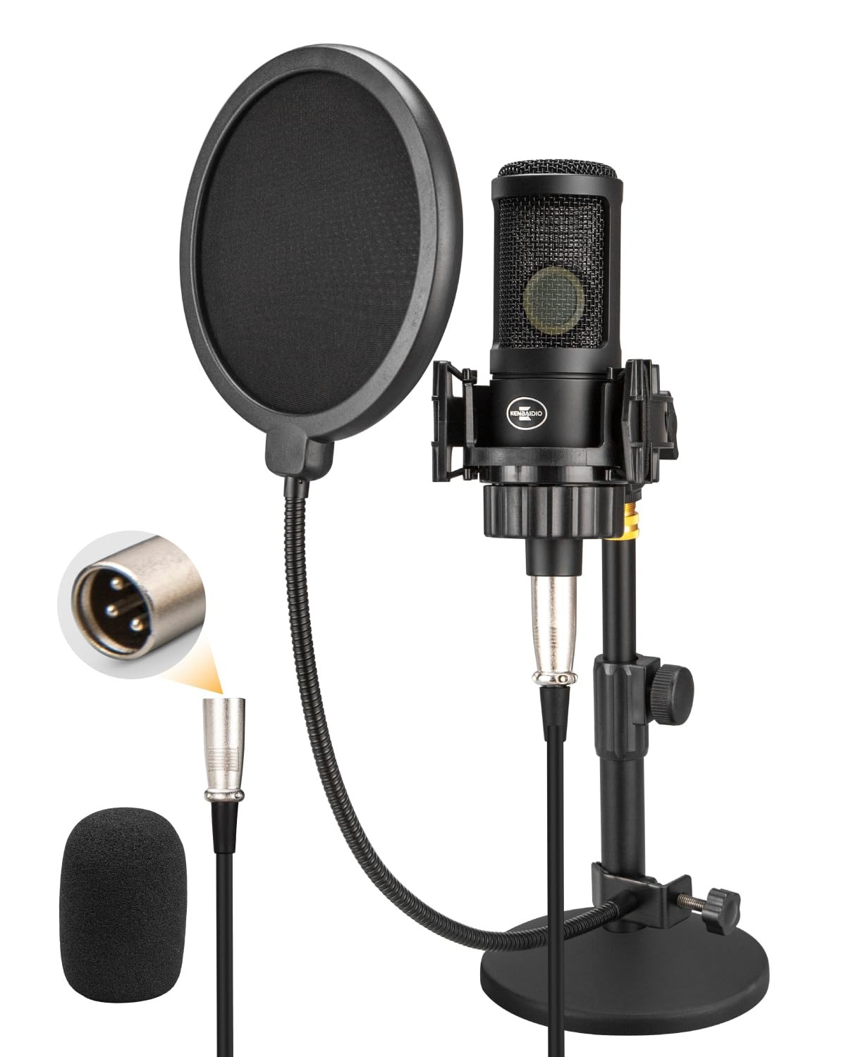 XLR Condenser Microphone with 26mm Large Diaphragm, Professional Cardioid Rec…