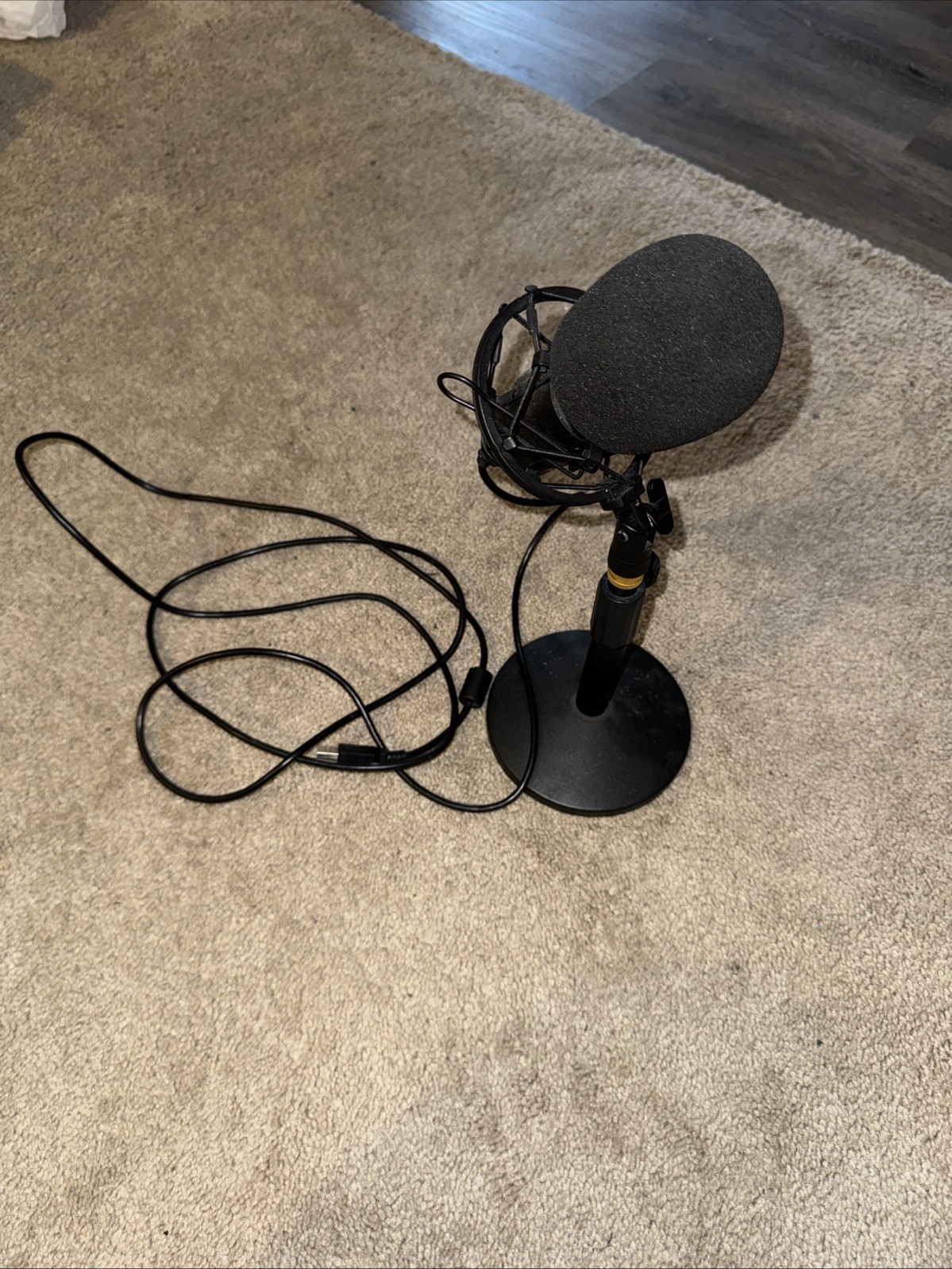 Generic Black Podcast Microphone USB Type A